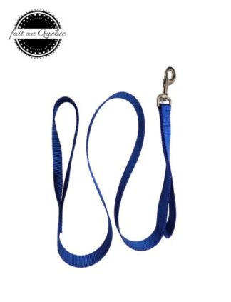 Laisse 2 poignée 1po X 48po #17403