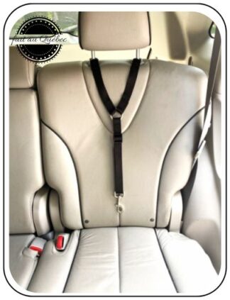 Ceinture pour voiture