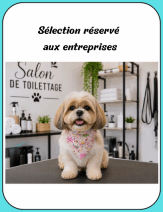 Entreprise
