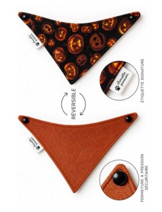 Foulards 144 XS - S - M - L