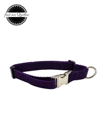Collier ajustable chien #43705