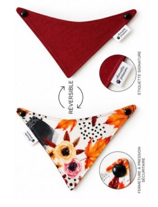 Foulards 145 XS -S - L - XL
