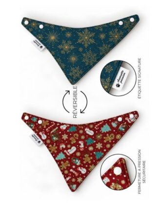 Foulards 164 XL