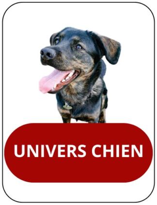 Pour les chiens